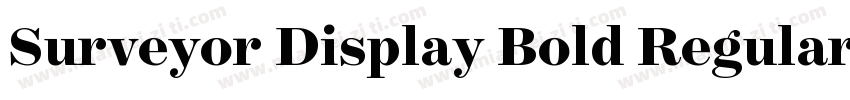 Surveyor Display Bold Regular字体转换